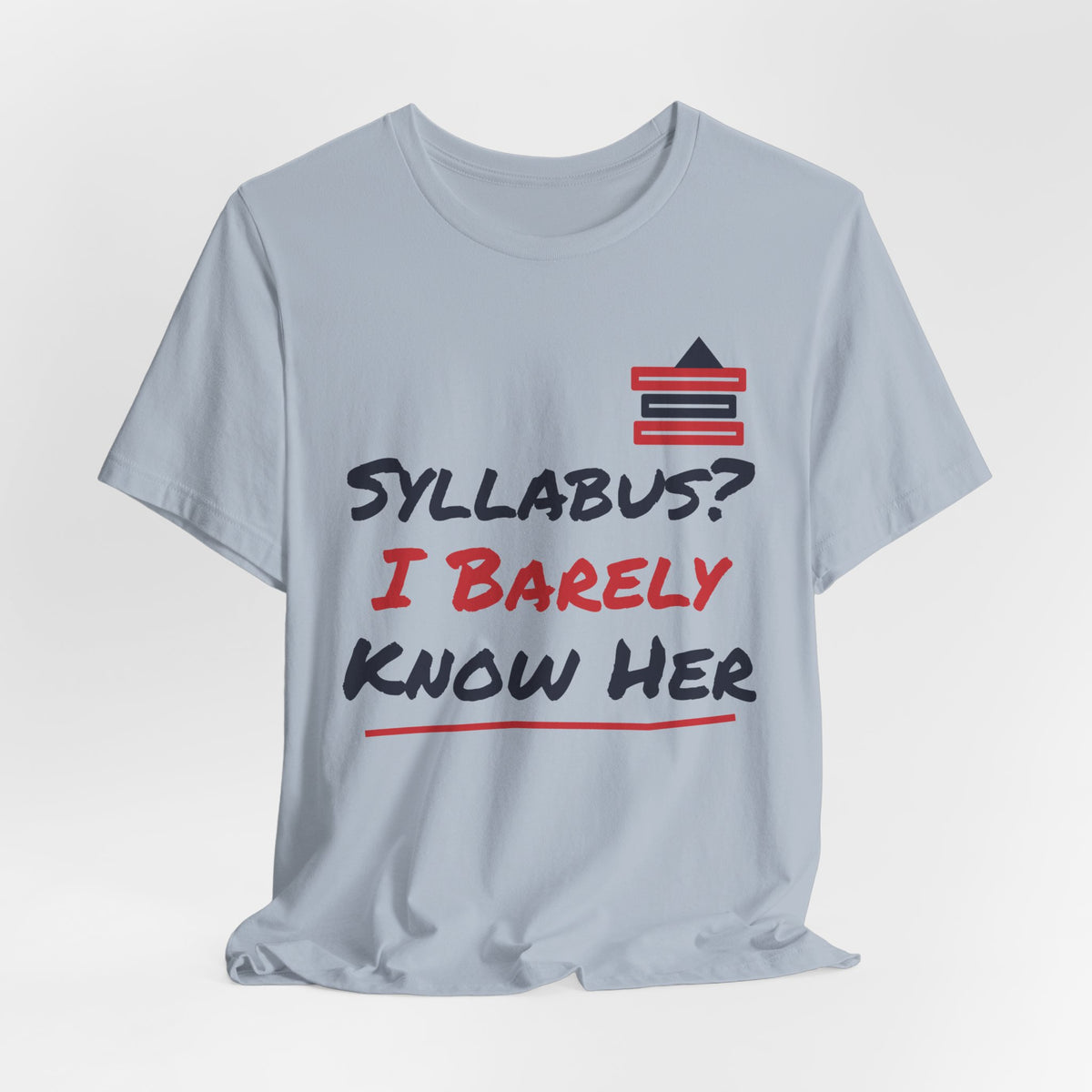 Light blue crewneck T-shirt with stacked books and “Syllabus? I Barely Know Her” print