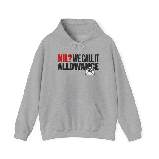 Sport grey pullover hoodie with drawstring hood and 'NIL2 WE CALL IT ALLOWANCE' graphic