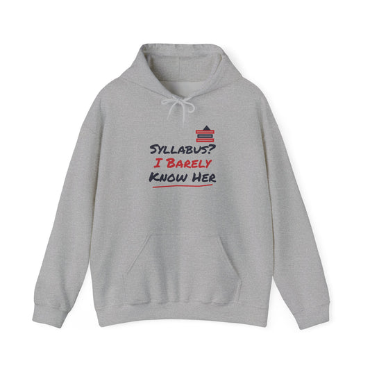 Light gray pullover hoodie with front graphic text and kangaroo pocket