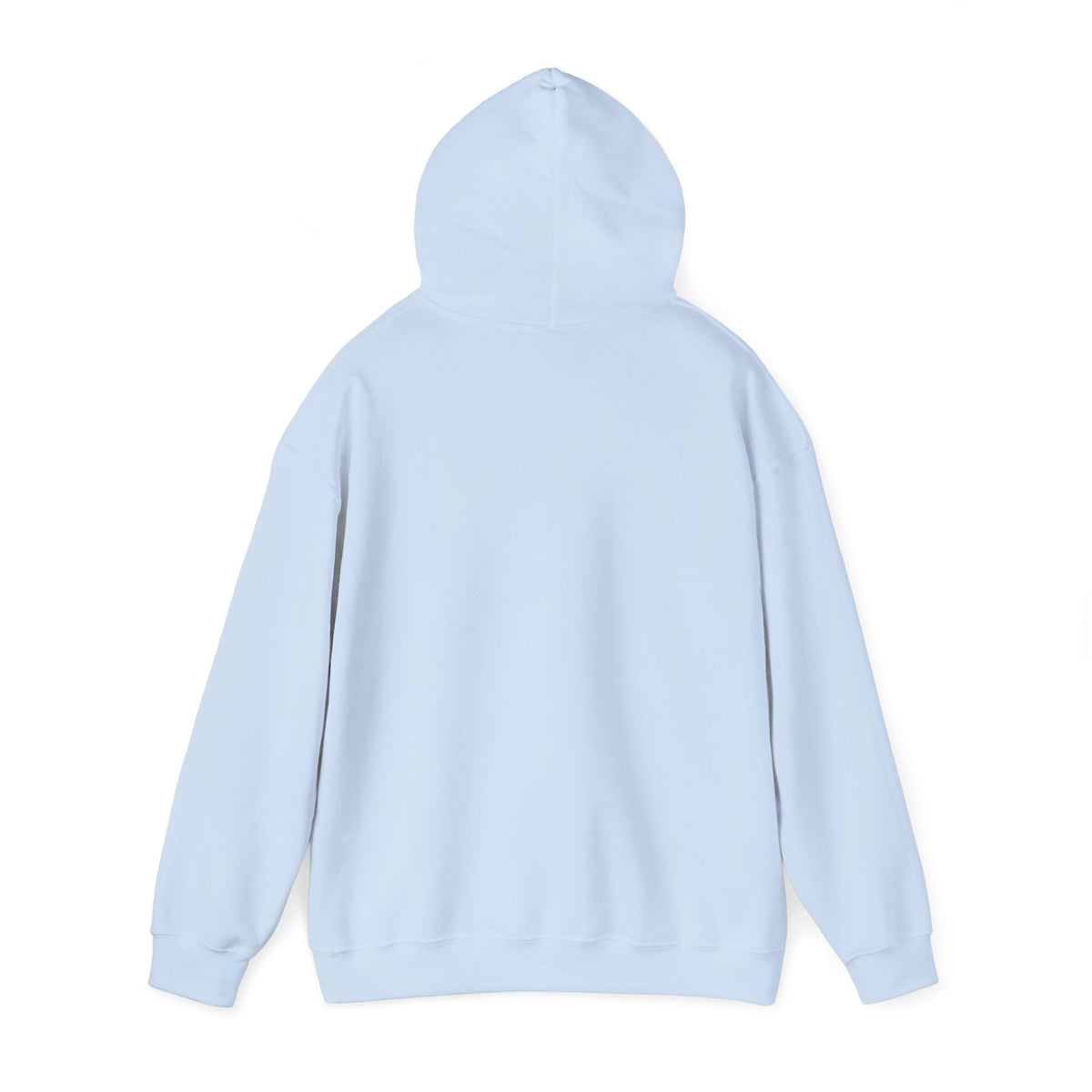 Light blue pullover hoodie, back view with full hood.