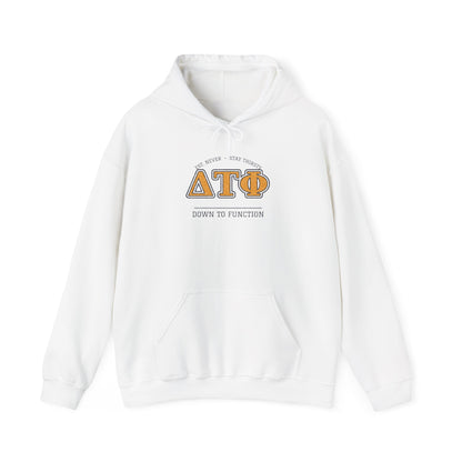 White pullover hoodie with ΔΤΦ graphic and kangaroo pocket