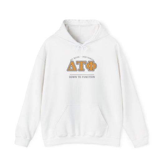 White pullover hoodie with ΔΤΦ graphic and kangaroo pocket