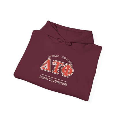 Maroon hoodie with hood and front graphic print, drawstring neckline