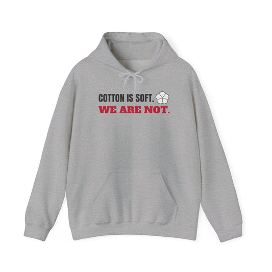 Sport grey cotton hoodie with front pocket, drawstring hood, and 'WE ARE NOT.' text graphic