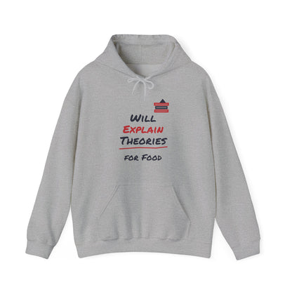 Sport grey pullover hoodie with front pocket, drawstring hood, and colorful “Will Explain Theories” graphic