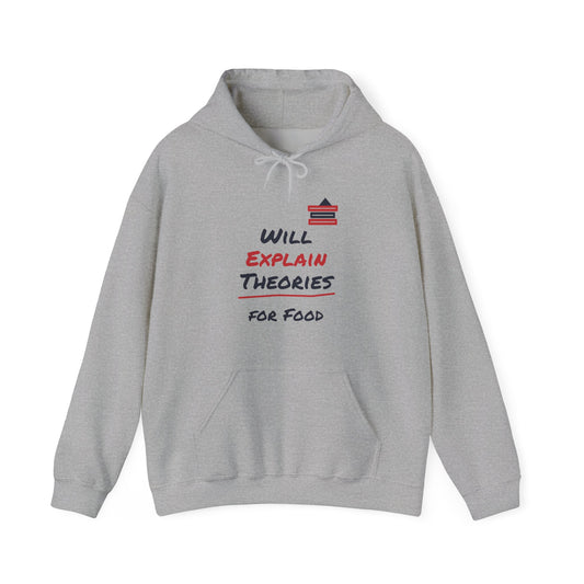 Sport grey pullover hoodie with front pocket, drawstring hood, and colorful “Will Explain Theories” graphic