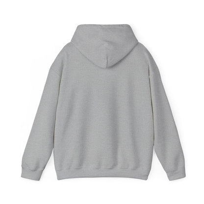Light gray pullover hoodie with hood and long sleeves, no visible front print