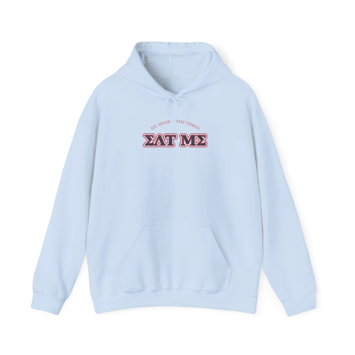 Light blue pullover hoodie with hood drawstrings, kangaroo pocket, and chest graphic